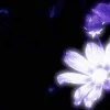 ♾