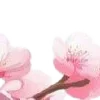 ⭐
