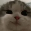 😉