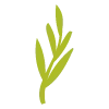 🌿