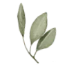 🌿