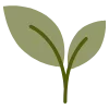 🌱