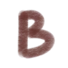 🎞️
