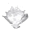🪦