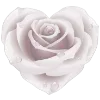🌹