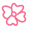 🌸