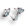 🦋