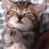 💤