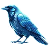 🐦‍⬛️