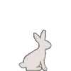 🐇