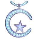 🌙