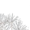 ⭐