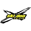 🎿