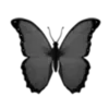🦋