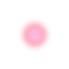 ✨