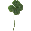 🍀