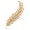 🪶
