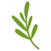 🌿