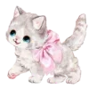 🐱