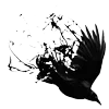🐦‍⬛
