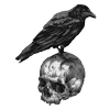 🐦‍⬛