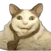 😺