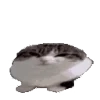 🫨