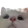 🙂