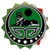 🇸🇦