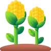 🌽