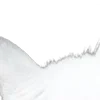 ⭐