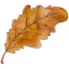 🍂