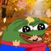 🍂
