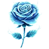 🌹