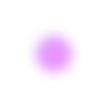 🟣