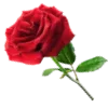 🥀