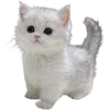😽