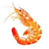 🍤