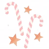 ✨