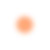 🟡