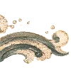 🐟
