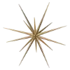 ⭐