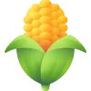 🌽