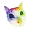 🐈‍⬛