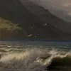 🌊