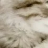 ⭐