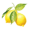 🍋