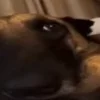 💀
