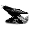 🐦‍⬛