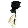 🌹